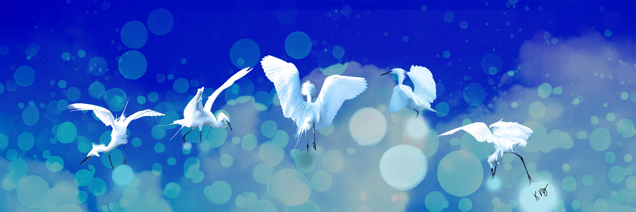 Composite photographic art of white morph reddish egrets dancing in a glowing blue sky with soft bokeh lighting and dreamlike atmospheric effects.